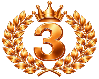 Top 3 Performer